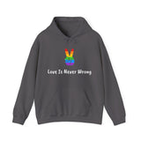 Love Is Never Wrong Hoody