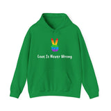 Love Is Never Wrong Hoody