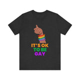 Its Ok to be Gay