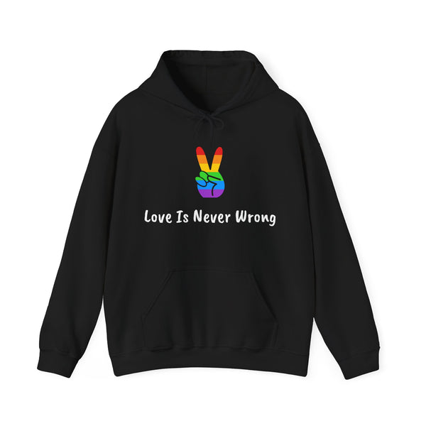 Love Is Never Wrong Hoody