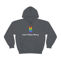 Love Is Never Wrong Hoody