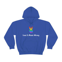 Love Is Never Wrong Hoody