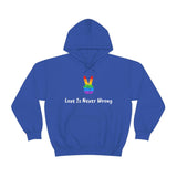 Love Is Never Wrong Hoody