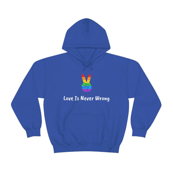 Love Is Never Wrong Hoody