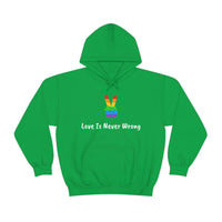 Love Is Never Wrong Hoody